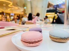 -视博茶点(美狮美高梅店)