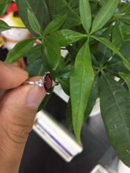 -威德钻石-克拉钻大本营(南京东路店)