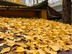 -高庙村(地铁站)