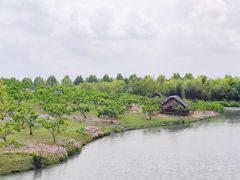 -乌村