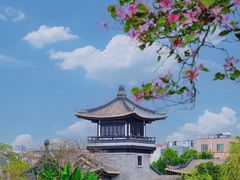 -海珠湖公园