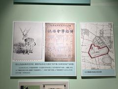 -北京麋鹿生态实验中心