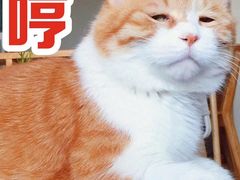 -萨莉亚意式餐厅(金隅嘉品mall店)