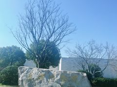 -良渚博物院
