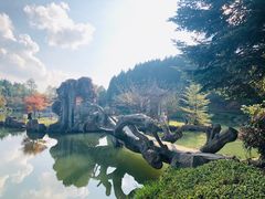 -四明山国家森林公园