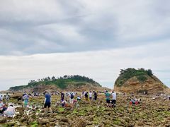 -小石岛景区