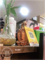 -金太子形象设计