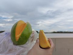 -南沙十九涌渔人码头-南门