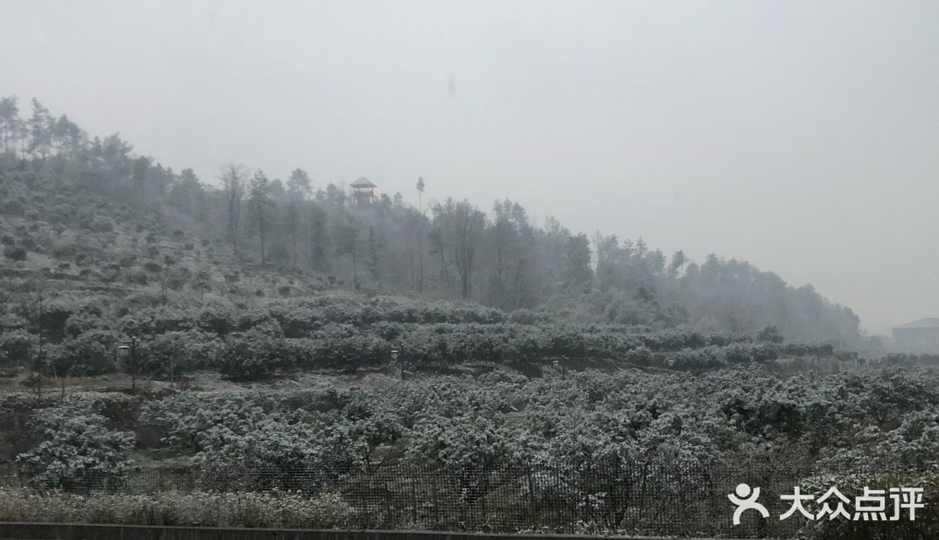 12.30晚，住凤凰谷，晚上在土菜馆吃，辛亏去的早