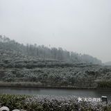 12.30晚，住凤凰谷，晚上在土菜馆吃，辛亏去的早