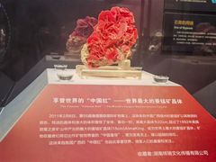 -湖南省地质博物馆