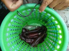 -海上驿站渔家菜馆