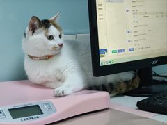 -嘉馨宠物医院·CT影像转诊·心脏科·犬猫全科诊疗中心(下沙大学城院区)