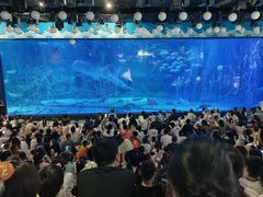 -烟台海昌鲸鲨海洋公园