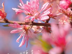 -圩墩遗址公园