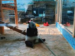 -西霞口神雕山野生动物世界