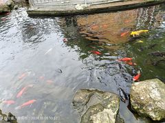 -什邡罗汉寺