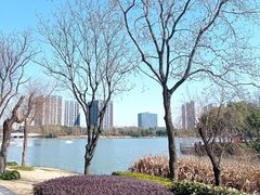 -南翔镇银翔湖公园