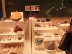 -天津自然博物馆