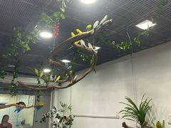 -苏州艺都古玩花鸟市场