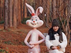 -黄海国家森林公园