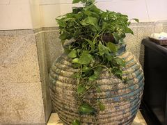 -天目湖涵田半山温泉