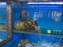 -桔子海鲜烧烤大排档(金沙滩店)
