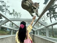 -西霞口神雕山野生动物世界