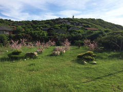 iphone_upload_pic-鹿嘴山庄
