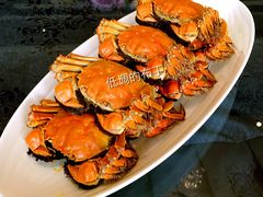 大闸蟹-新光酒家·河豚·海鲜·蟹料理(浦东店)