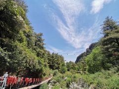-苍山感通索道
