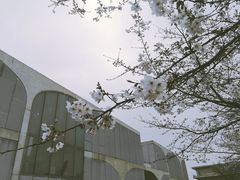 -龙美术馆(西岸馆)