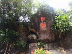 android_upload_pic-百鸟园