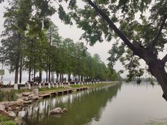 -东湖磨山景区