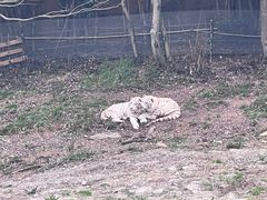 -宁波野生动物园
