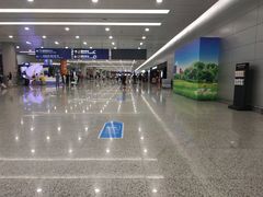 -上海浦东国际机场-T2航站楼