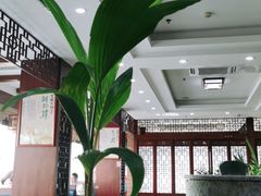 大堂-墨脱石锅椰子鸡•香草鸭•东山羊(大东海店)