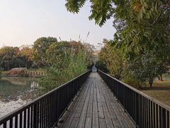 -中国浦东干部学院