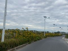 -南汇嘴观海公园