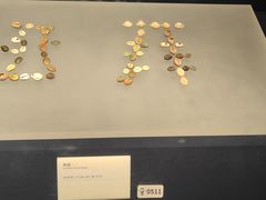 -贝林大翅鲸简餐厅(国家海洋博物馆店)