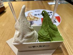 -野人牧坊Gelato(苏州中心店)