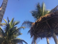 -玫瑰海岸文化旅游度假区