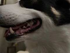 -无为足道(中南二路店)