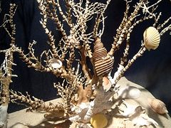 -亚龙湾中心广场·贝壳馆