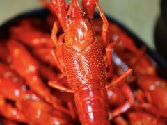 -老鄞江清水龙虾•赵赵家(江北店)