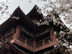-西安青龙寺遗址景区