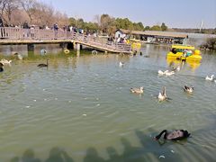 -无锡动物园·太湖欢乐园