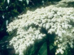 -叠溪松坪沟景区