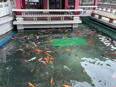 -广东圆玄道观