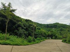 -广州市帽峰山景区